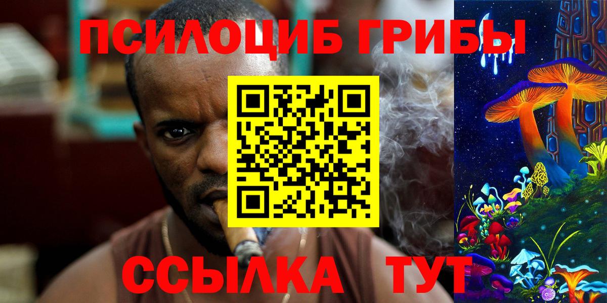 Галлюциногенные грибы Magic Shrooms Тара